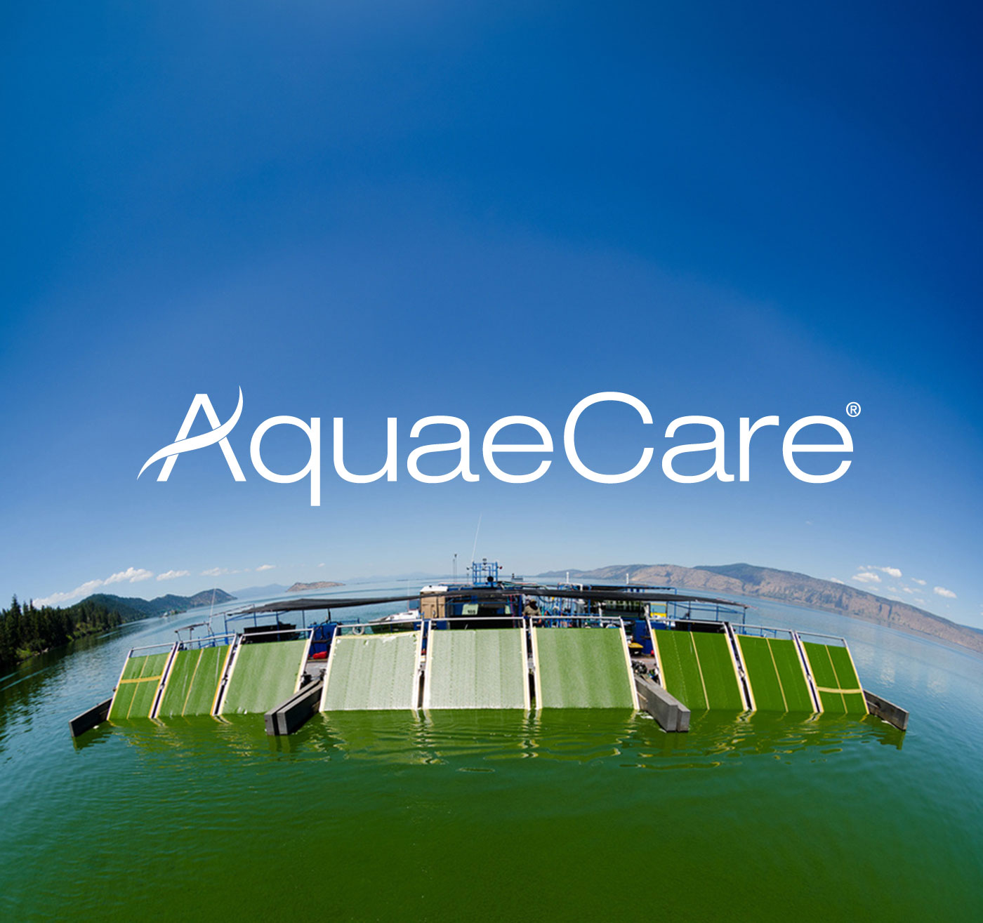 世界初のAFAブルーグリーンアルジー企業。AquaeCare / アクエケア