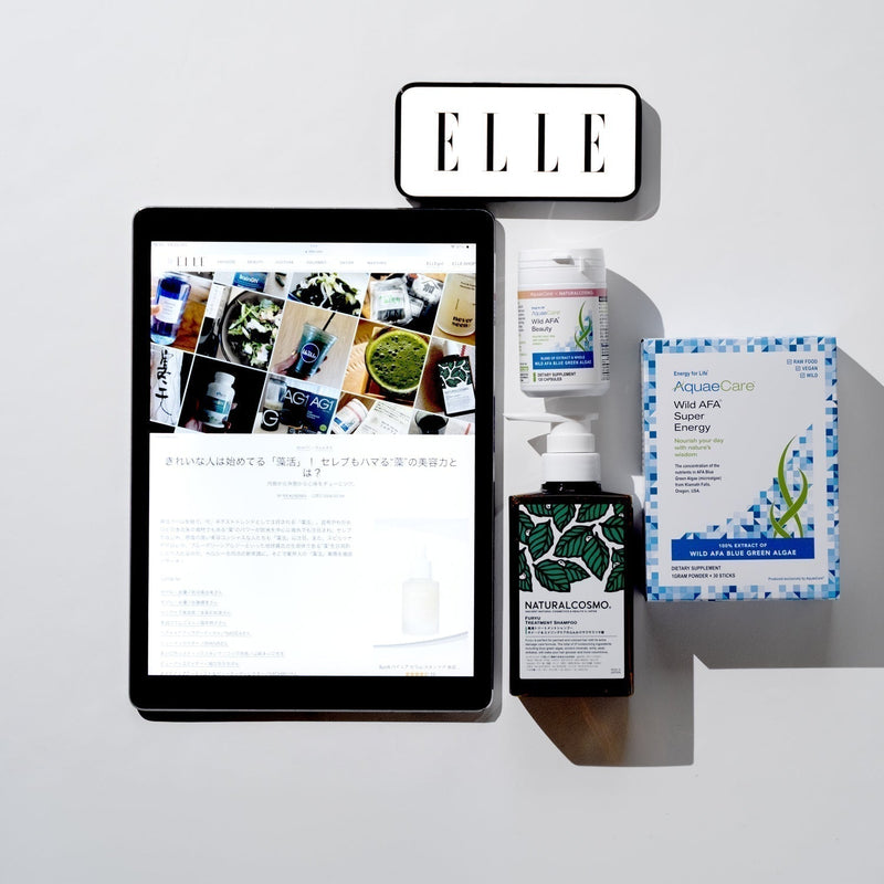ELLE デジタル 2026年2月9日掲載