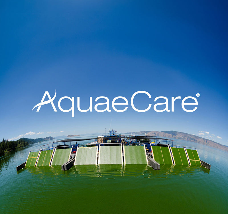 世界初のAFAブルーグリーンアルジー企業。AquaeCare / アクエケア