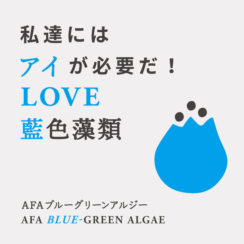 アイがある藻「AFAブルーグリーンアルジー」