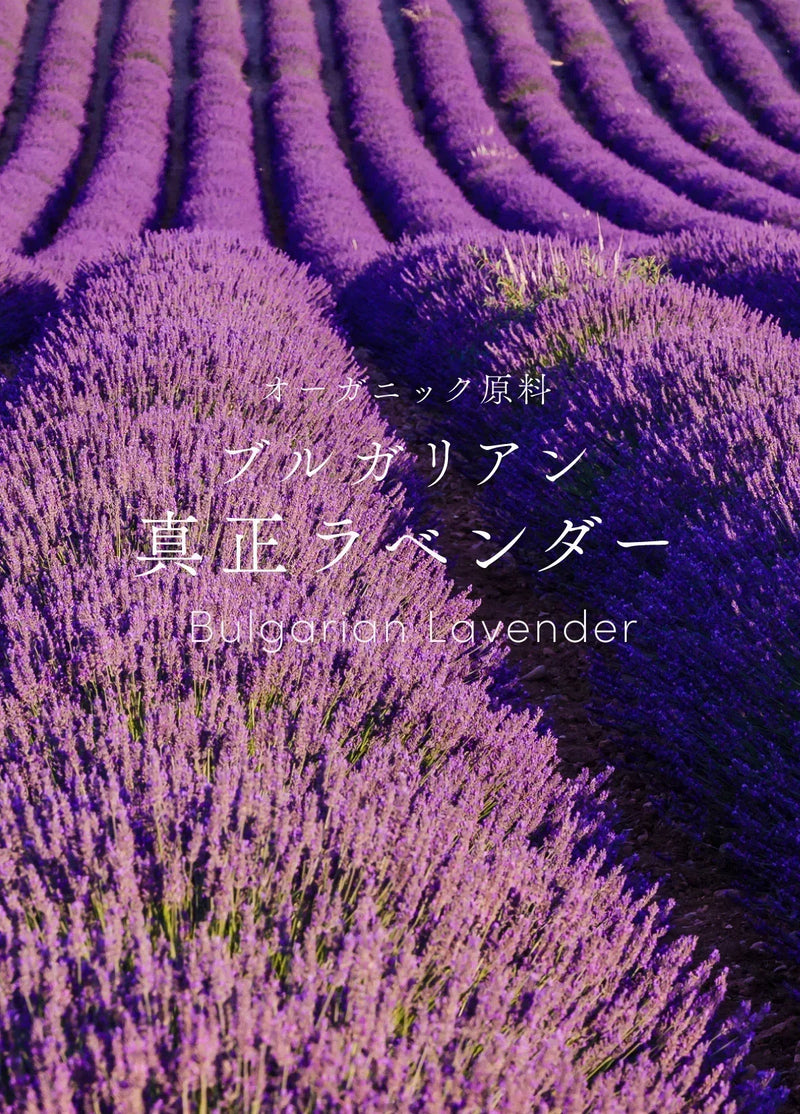 強く香るラベンダー。控えめに香るラベンダー。