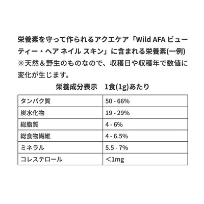 Wild AFA ビューティー・ヘア ネイル スキン