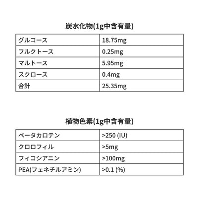 Wild AFA ビューティー・ヘア ネイル スキン